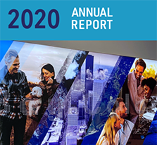 2020 annual report cover