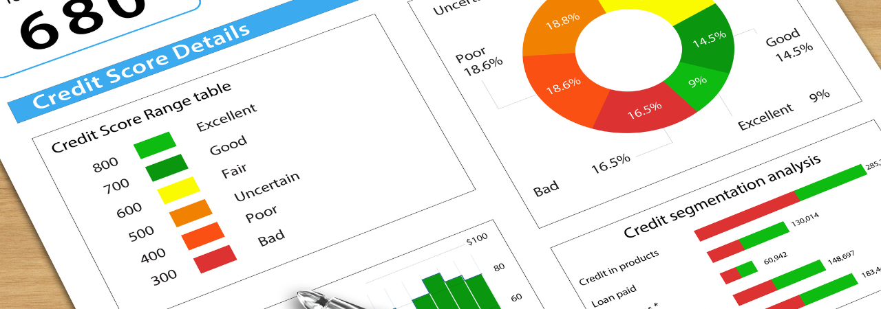 credit report document with charts